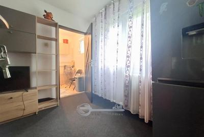Apartament cu 2 camere nedecomandat, mobilat în Podu Roș