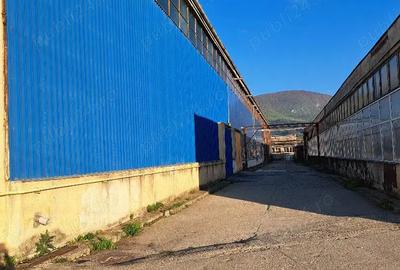 Spațiu comercial, de 200 mp, în Codlea - 6