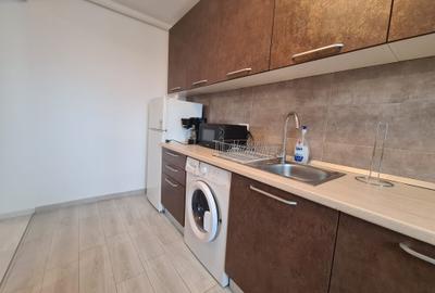 Garsonieră decomandată, mobilată în Fundeni - 13