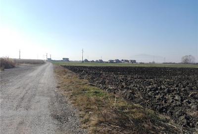 Teren de 20000 mp, în Central - 2
