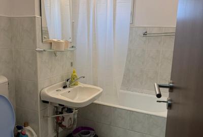 Simion Barnutiu-lângă Hotel Streliția Simion Barnutiu-lângă Hotel Streliția - 11