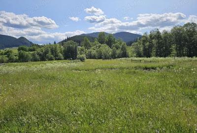 De vanzare Teren intravilan cu casa si anexe in Bucovina Moldova Sulita - 7