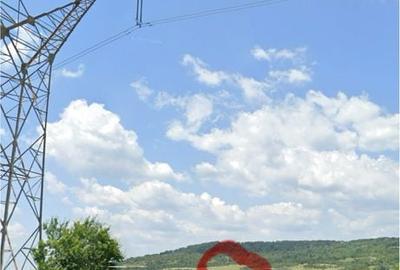 Teren de 480000 mp, în Prunișor - 5