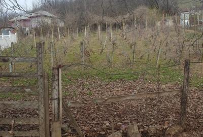 Casă cu 3 camere în Nișcov - 5