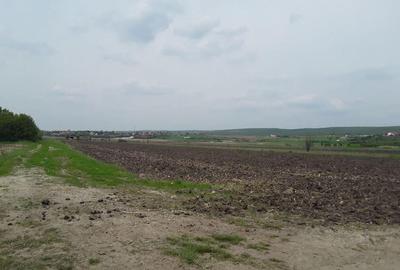 Teren extravilan, Cotofenii din Fata, jud Dolj -id 6954-0... - 3