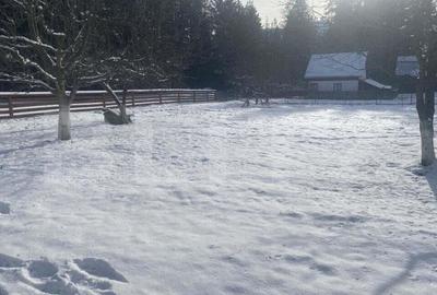 Casă cu 3 camere cu Teren 3450 Mp în Central