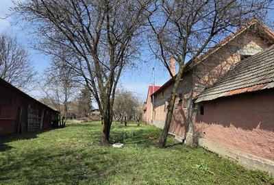 Teren de 803 mp, în Prejmer - 2