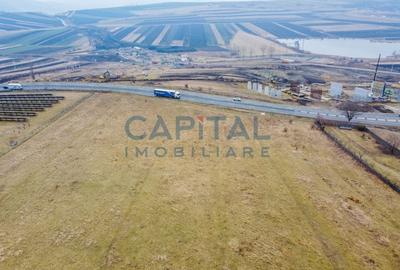 Comision 0% Teren extavilan, 2900 mp, front 11 ml la drumul national,Tureni - 2