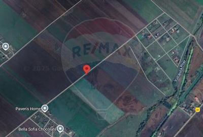 Teren agricol extravilan de 3500 mp, în Hălchiu - 4