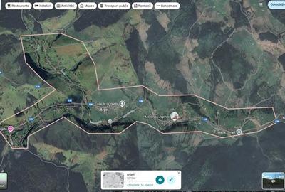 Casă cu Teren 4880 Mp în Argel - 7