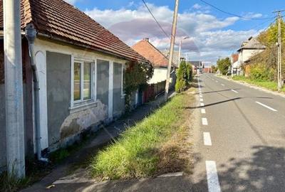 Casă individuală cu 2 camere cu Teren 1449 Mp în Ocna Șugatag - 3