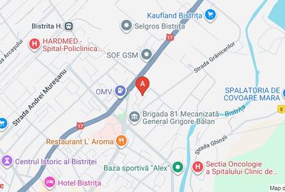 Apartament 1 cameră, 40mp, zona Han - 1