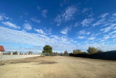 Teren intravilan împrejmuit și betonat parțial - 2