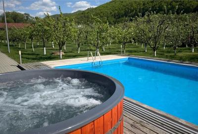 Disponibila de REVELION cabana complet echipată de închiriat în M - 9