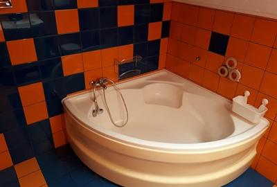 Vila P+1, 240 mpu, curte 670 mp, la 20 km de Bucuresti in Gruiu, Calarasi - 16