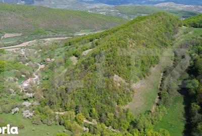 Teren de 9083 mp, în Meteș - 2
