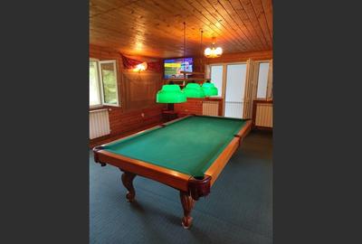 Vila superba 7 camere, Provita de Jos, 22.000 mp teren - 3