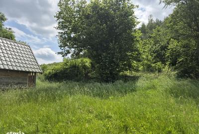 Casă cu Teren 5600 Mp în Lisnău - 7
