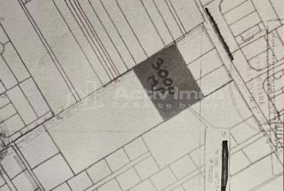 Teren de 3000 mp, în Sisești - 3