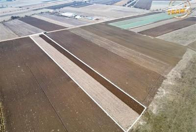 FILM! In areal linistit, acces facil, 4.200 mp  teren extravilan, Covasna - 6