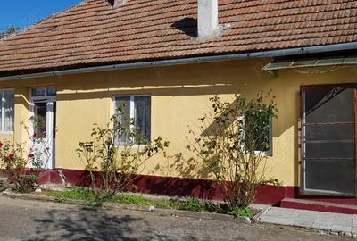 PROPRIETAR, vand casa cu 3 camere in Recas - 2