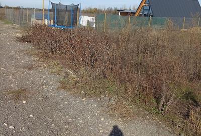 Tartasesti, Dambovita, 18 km - 1