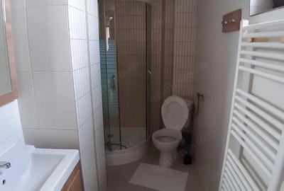 Garsonieră decomandată în Dămăroaia - 9