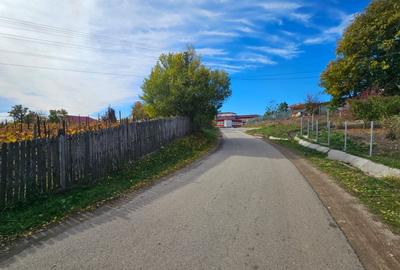 Teren Construcții intravilan de 1081 mp, în Călinești - 5