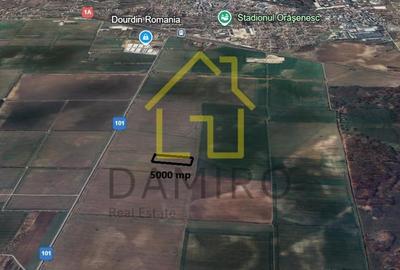 Teren Intravilan 5000 mp Buftea Tamasi - 3
