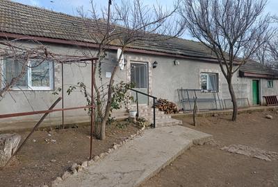 Casă cu 2 camere în Căscioarele - 2