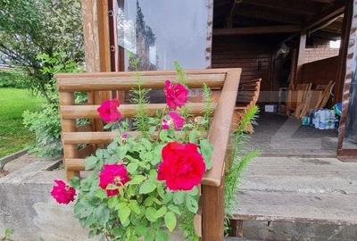 Casa vacanta 5 camere Paltinoasa, zona excelenta, in circuit turistic! - 12