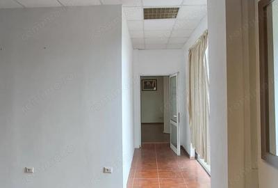 Zona Ghiroda, Spatiu comercial, ideal Birouri, Depozit ... - 5