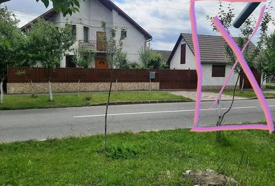 Casă cu Teren 379 Mp în Bujac - 3