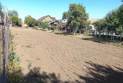 Teren de 1000 mp, în Nădab - 2