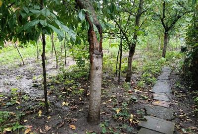 Casă cu 2 camere în Central - 3