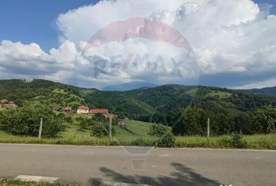 Teren de 128948 mp, în Munteni - 11