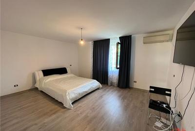 Vila P 1 de in zona Laminoru SUD - 15