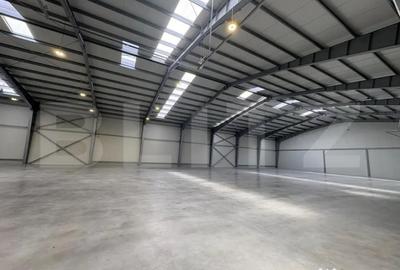 Spațiu comercial, de 3,000 mp, în Central - 6