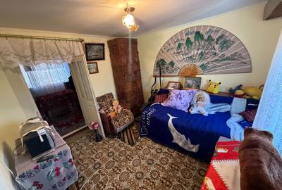 Casă cu 4 camere cu Teren 4382 Mp în Somova - 15