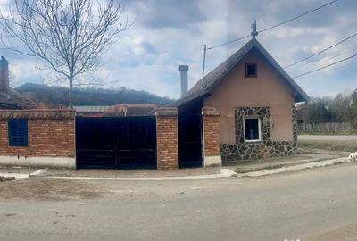 Casă cu 2 camere în Saschiz - 5