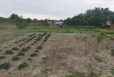 Teren de 1170 mp, în Ultracentral - 1