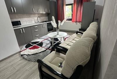 Garsonieră în Valea Moșneagului - 5