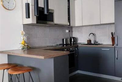 Apartament cu o camera de inchiriat zona Balcescu Apartament cu o camera de inchiriat zona Balcescu - 1