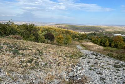 Teren Construcții intravilan de 3744 mp, în Gheorghieni - 8