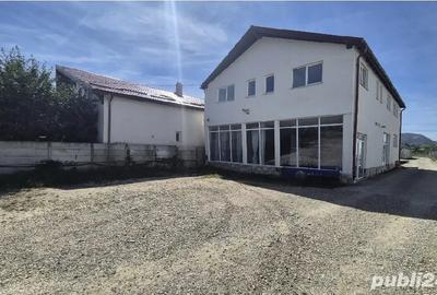 Showroom,birouri,depozitare - 3