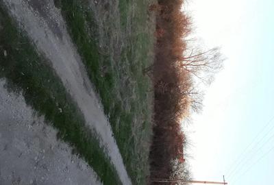 Teren de 3200 mp, în Cocu