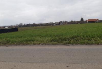 Vanzare teren intravilan construibil Lunca Calnicului - 5