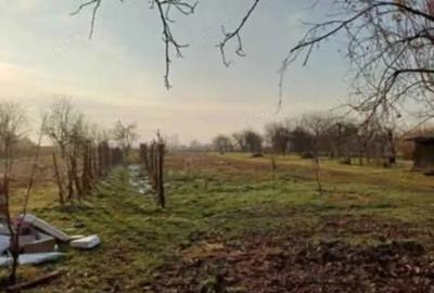 Casă în Paulian - 9