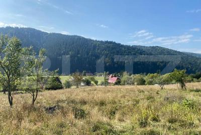Teren de 1,4 h, zona Lunca Bradului Teren de 1,4 h, zona Lunca Bradului - 1