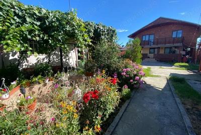 Vanzare proprietate cu 2 case individuale in com. Dragu?e?ti, sat Cirbe?ti - 1